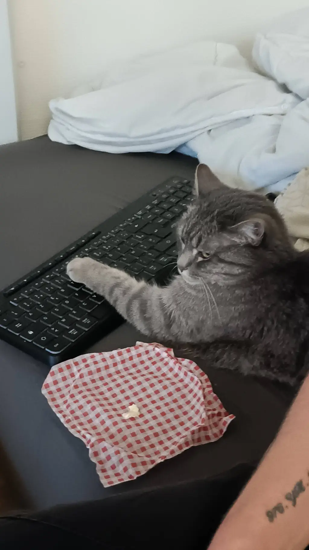 ai character: minette 3 background