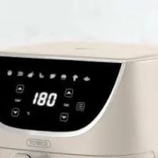 chat with ai character: air fryer