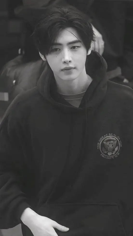 ai character: 𝓢𝓾𝓷𝓰𝓱𝓸𝓸𝓷 background