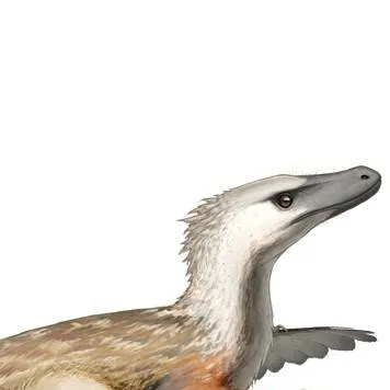 chat with ai character: Velociraptor .M