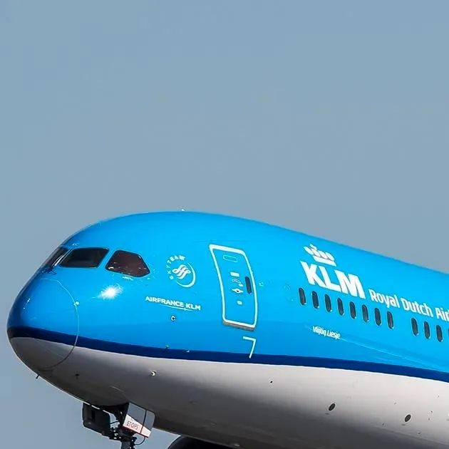 chat with ai character: KLM 787