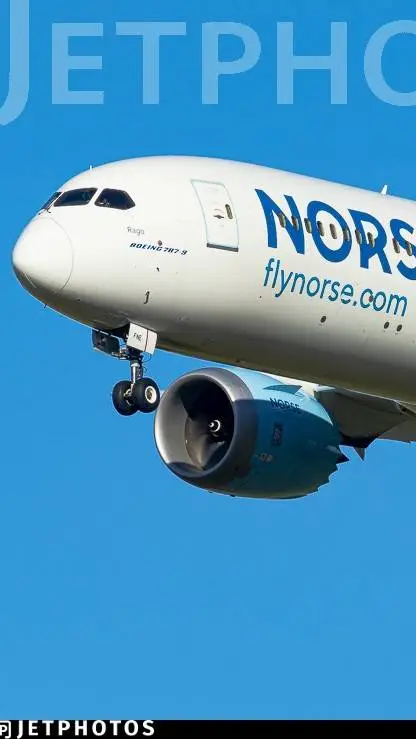 ai character: Norse 787 background
