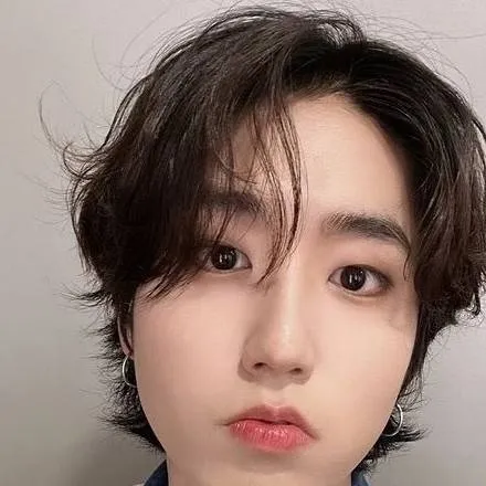 chat with ai character: han💜