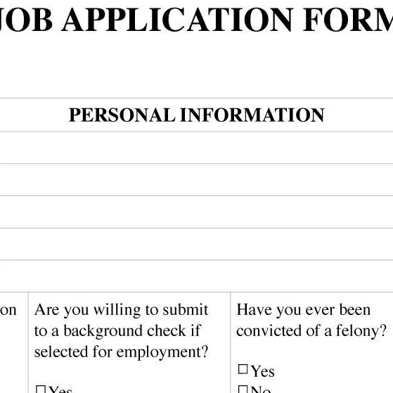 chat with ai character: JOB APPLICATION