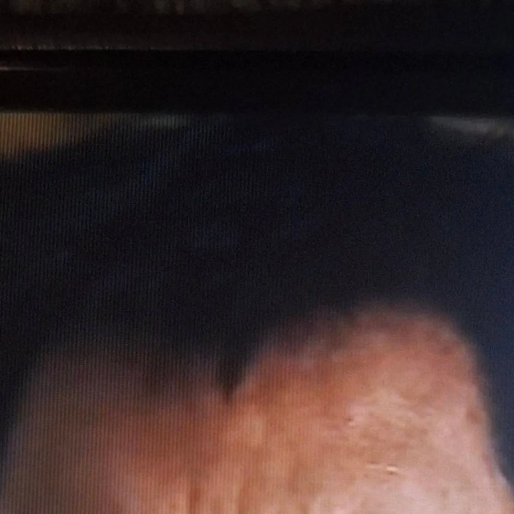 chat with ai character: Presented