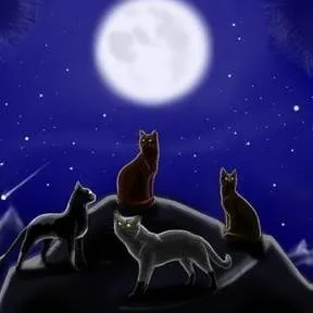 chat with ai character: Warrior Cats rp
