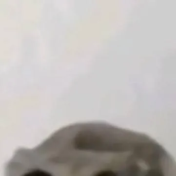 chat with ai character: my story irl