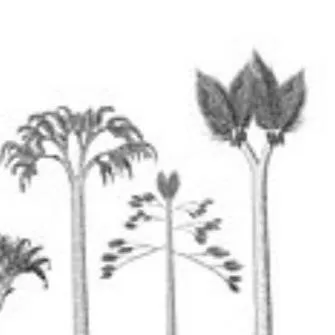 chat with ai character: The extinct trees