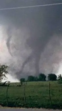 ai character: Jarrell 1997 (CH) background