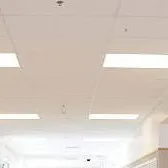 chat with ai character: BBAU