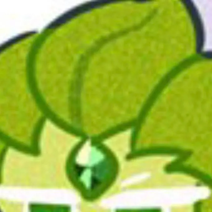 chat with ai character: wind archer cookie