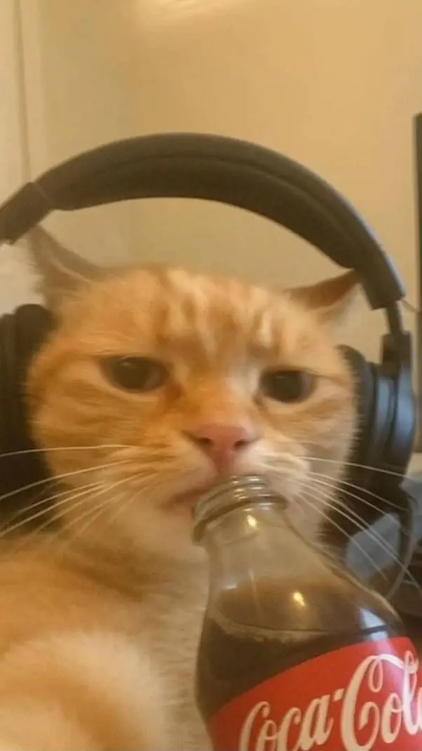 ai character: NOUVELLE !!! background