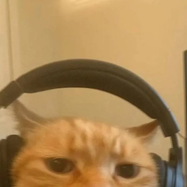 chat with ai character: NOUVELLE !!!