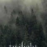 chat with ai character: Twilight