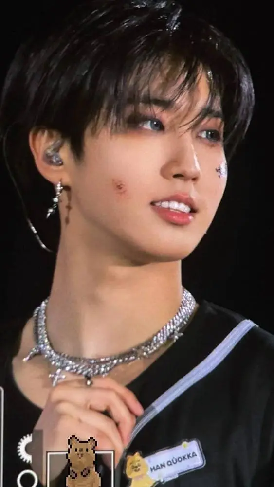 ai character: Han Jisung background