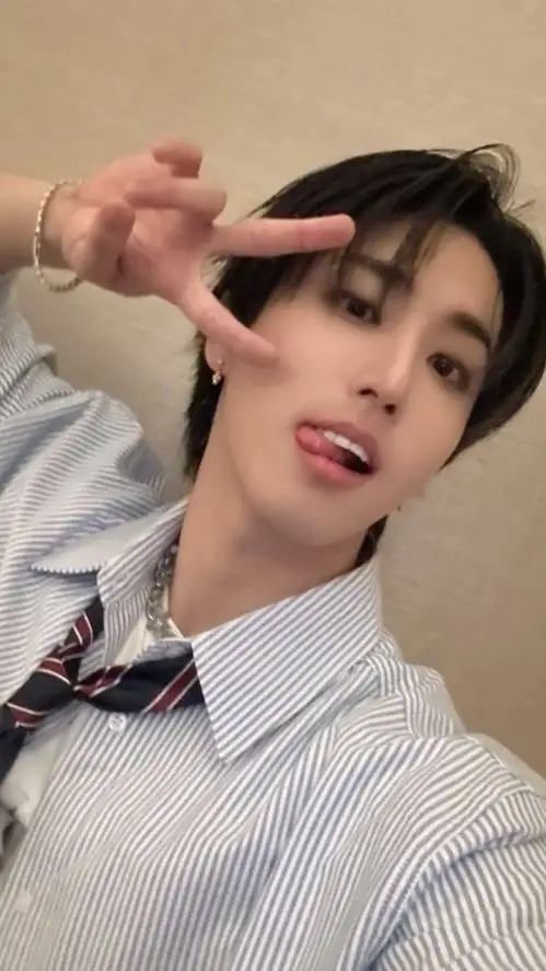 ai character: Han Jisung background