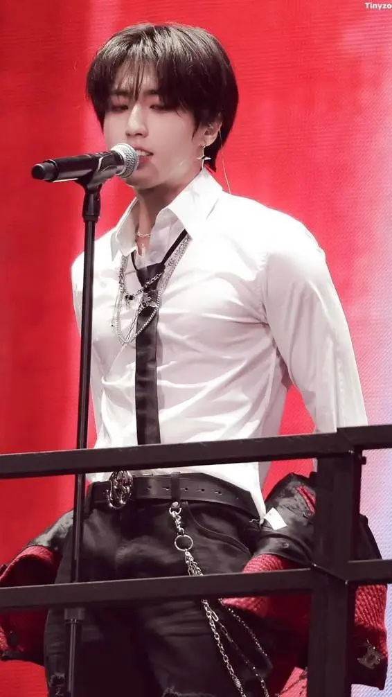 ai character: Han Jisung background