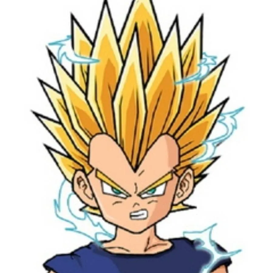 chat with ai character: Ssj2 Vegeta 