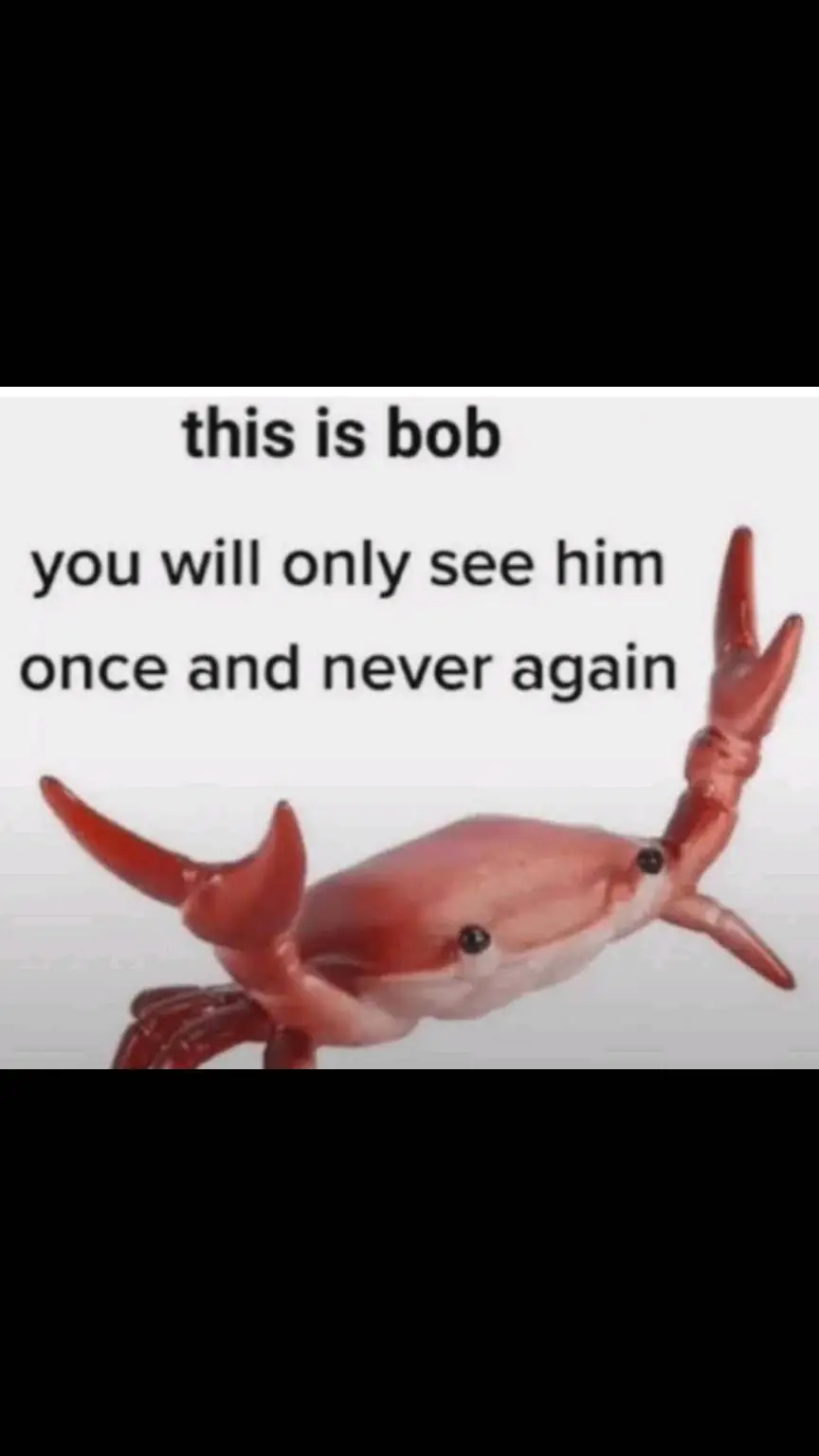 ai character: ~bob co inc~ background