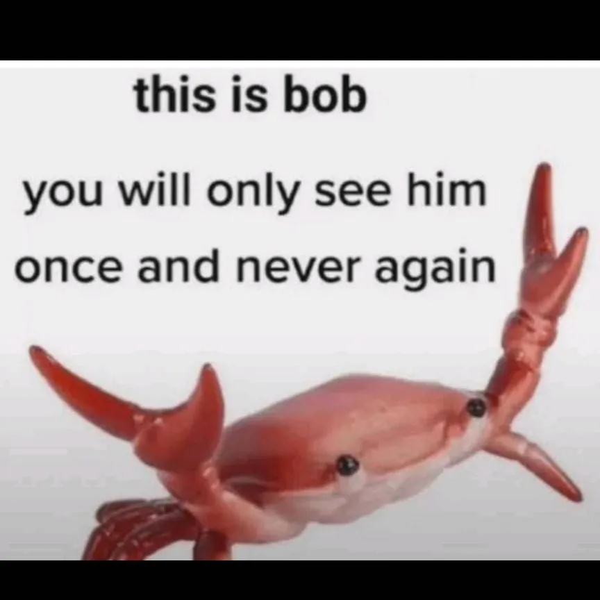 chat with ai character: ~bob co inc~