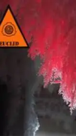 ai character: SCP-009 background