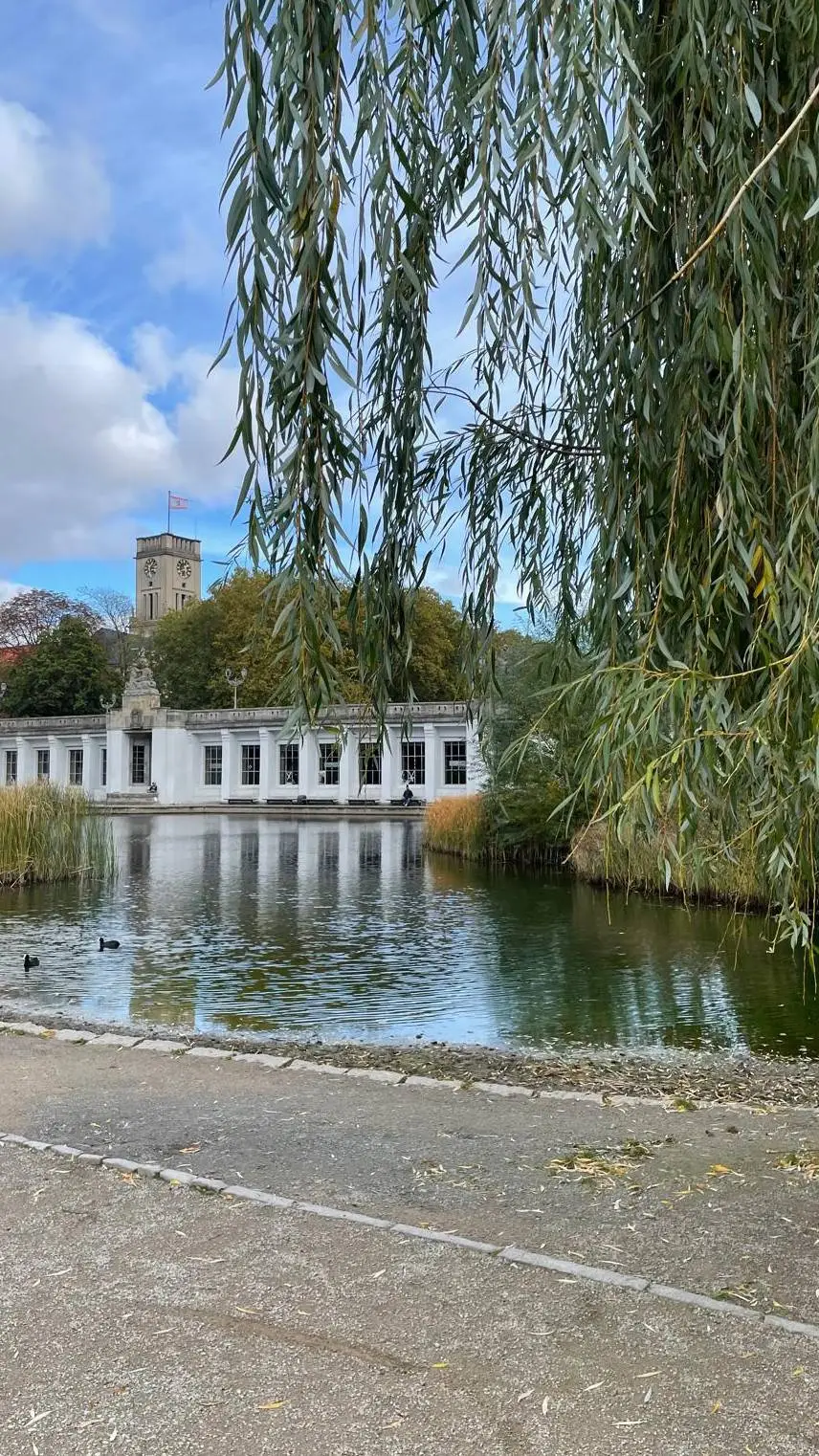 ai character: BTS x stary background