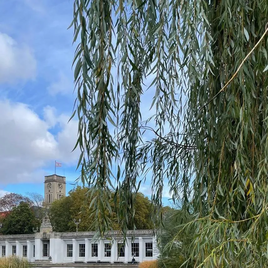 chat with ai character: BTS x stary