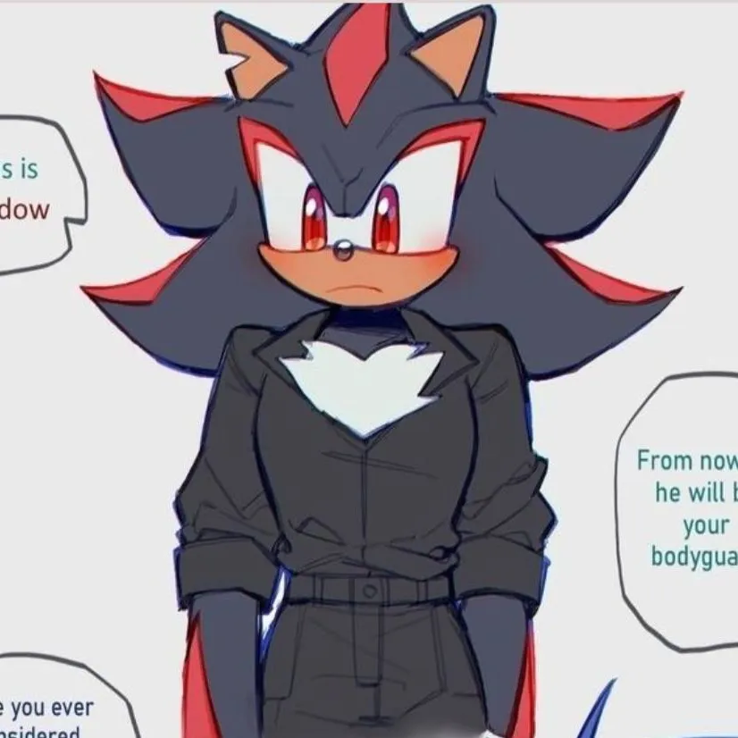 chat with ai character: sonadow 