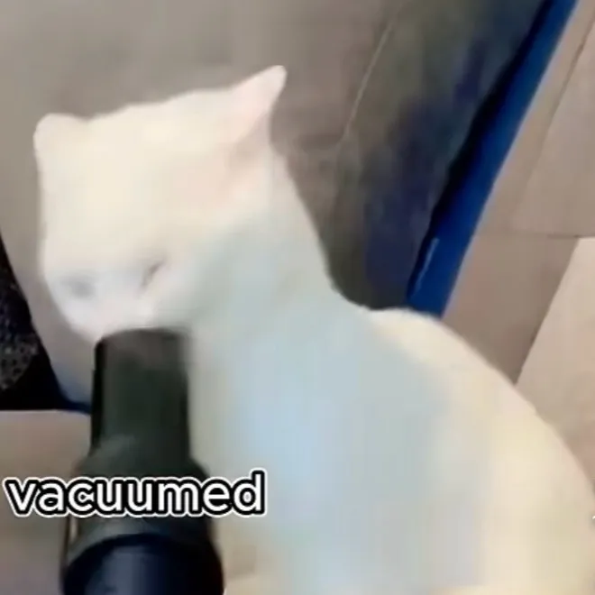 chat with ai character: Another mha