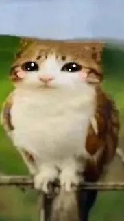 ai character: gato búho background