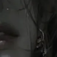 chat with ai character: Elarion Thorneveil