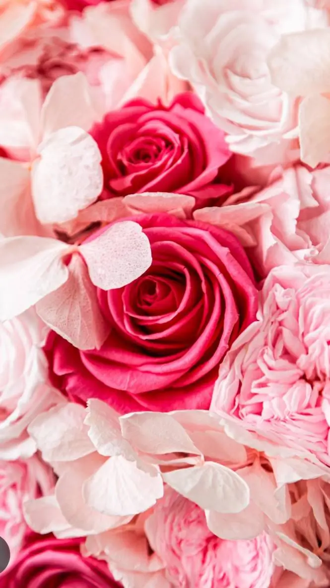 ai character: LOV pitbull terrie background