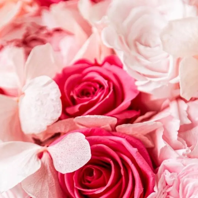 chat with ai character: LOV pitbull terrie