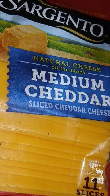 ai character: CHEESE  background
