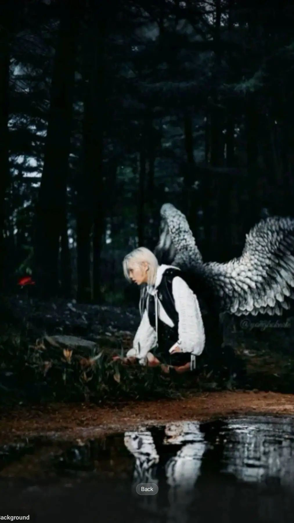 ai character: Felix background