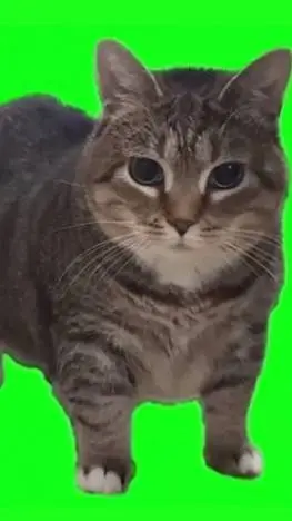 ai character: Ethel background