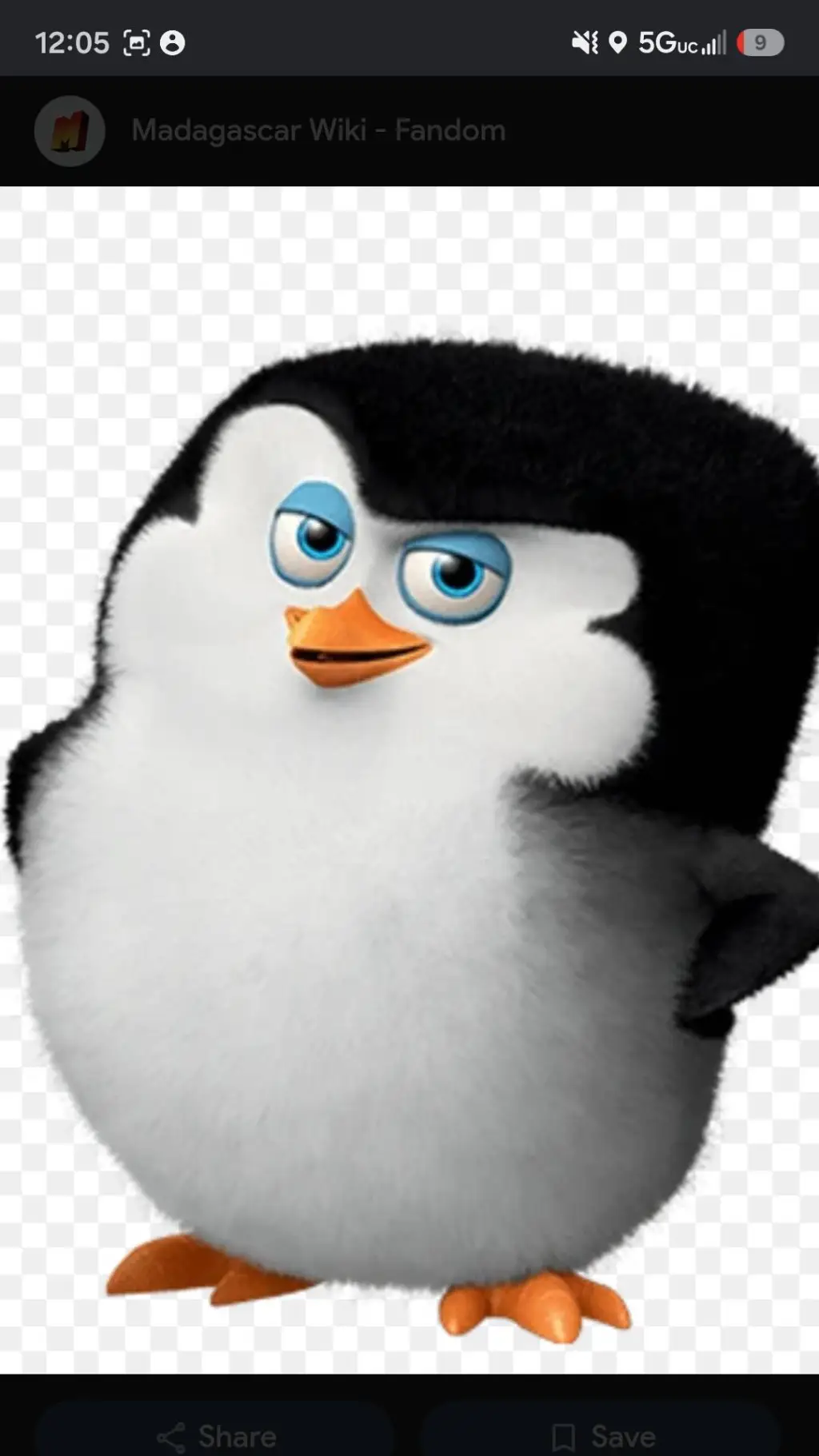 ai character: Baby Skipper background