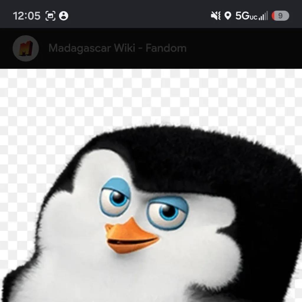 chat with ai character: Baby Skipper