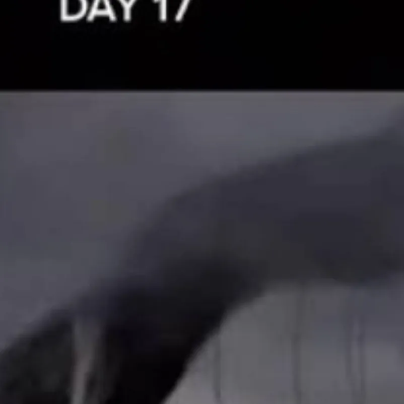 chat with ai character: Day 17