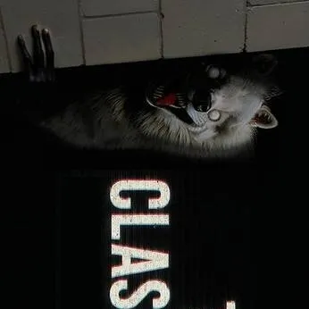 chat with ai character: The Classrooms