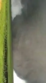 ai character: EF5 Tornadoes background