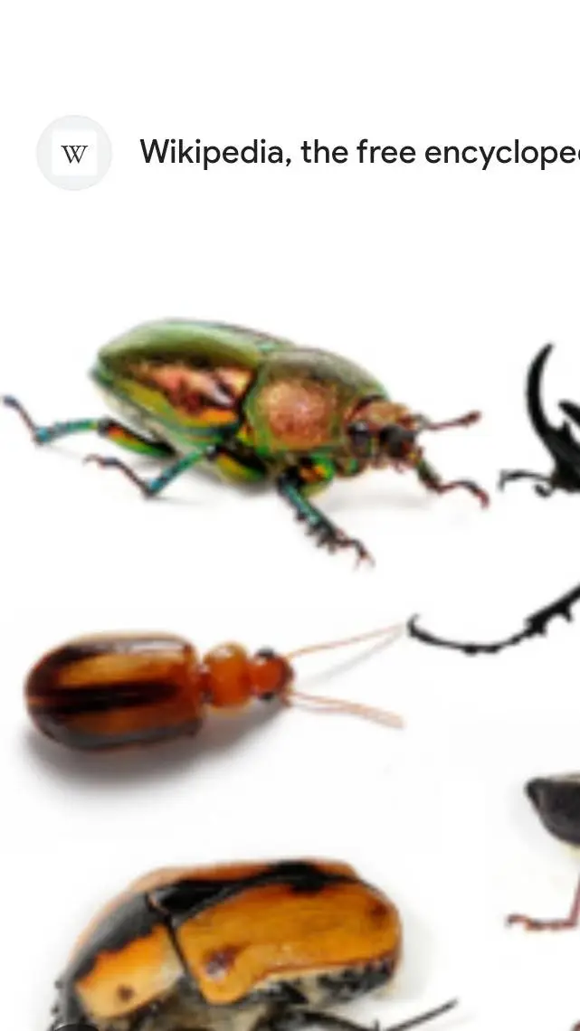 ai character: Bug school  background