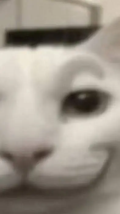 ai character: nope background