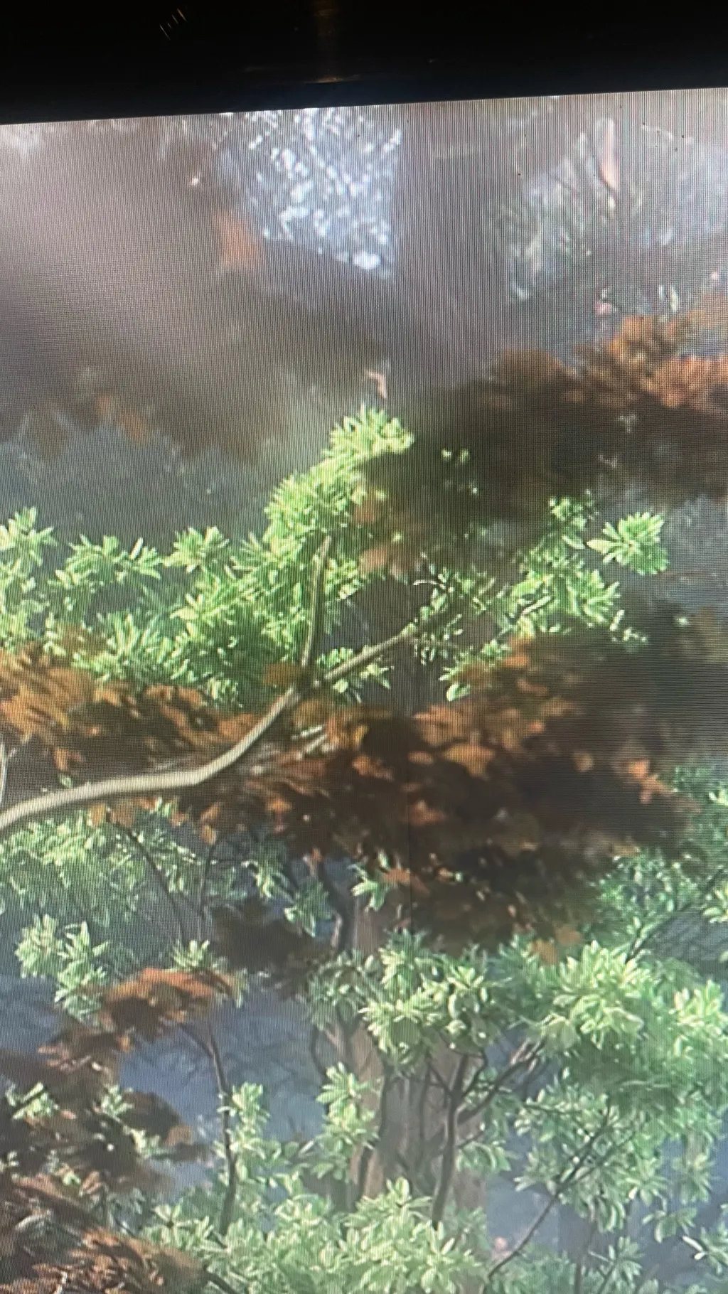 ai character: Camp C ch 4 background