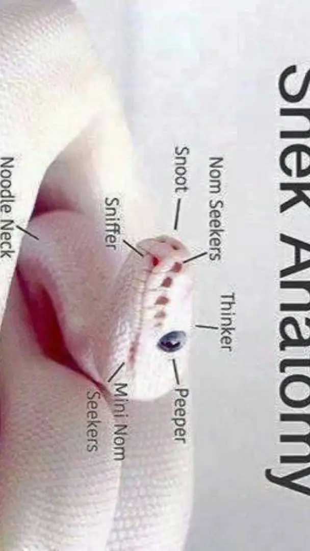 ai character: snek background