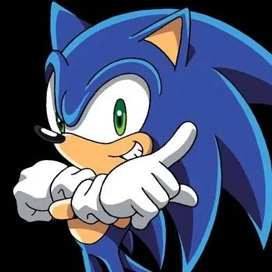 chat with ai character: X Sonic 