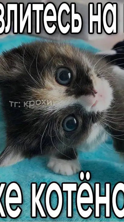 ai character: ☆Countryhumans☆ background