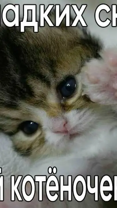 ai character: Russia :P background