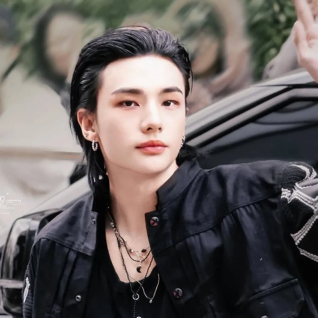 chat with ai character: Hwang Hyunjin 