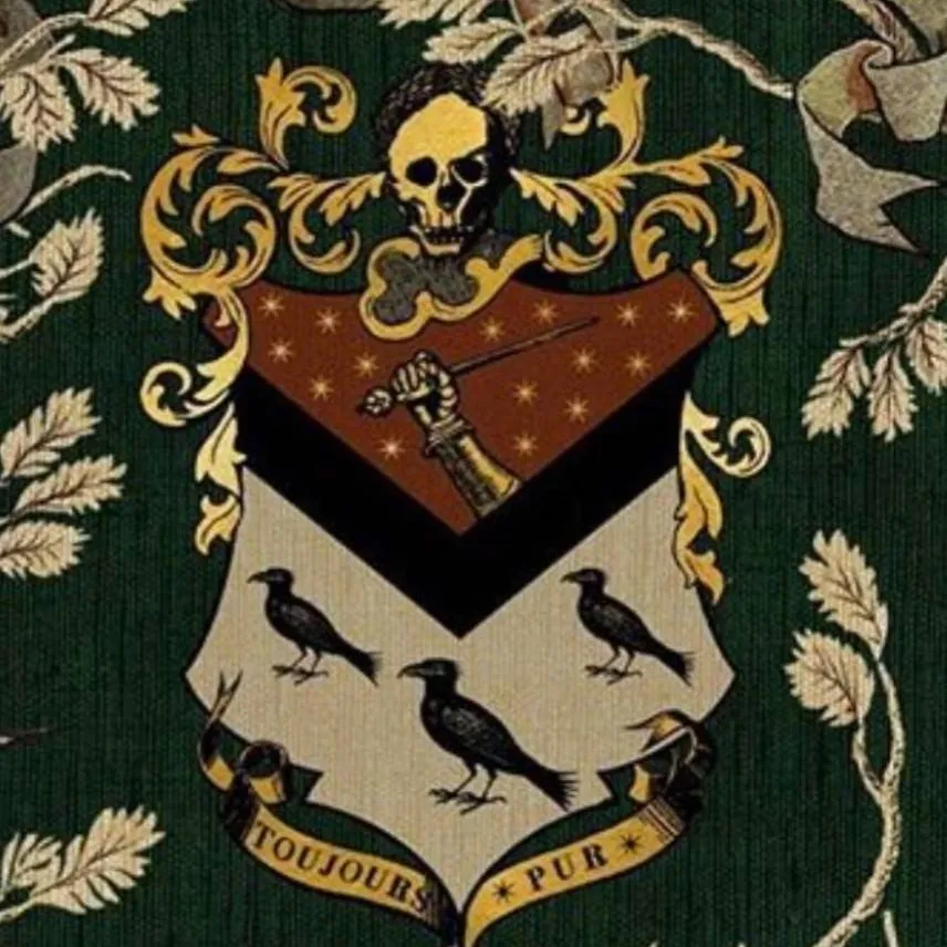 chat with ai character: Sirius's daughter